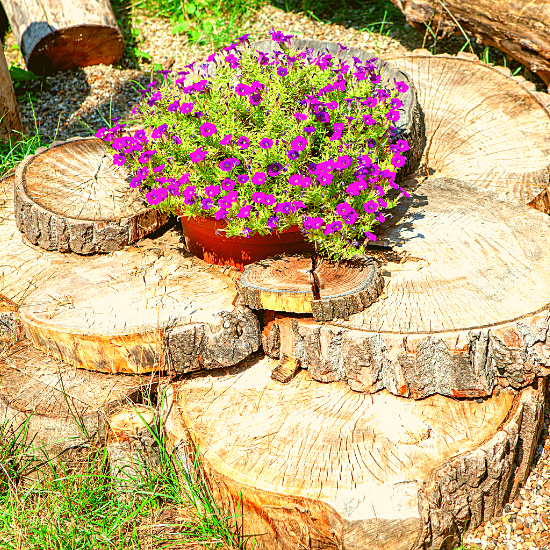 rustic decor